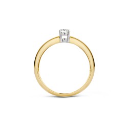 Ring 14 kt bicolor met zirconium - 614662