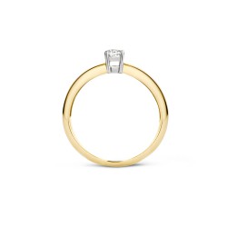 Ring 14 kt bicolor met zirconia - 606977