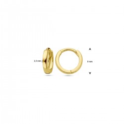Creolen geel 14 kt - 616490