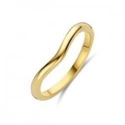 Ring 14 kt - 615085