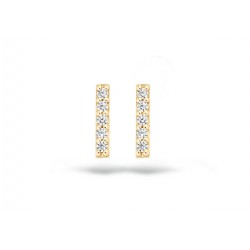 Staafjes geel 14 kt met zirconia - 614897
