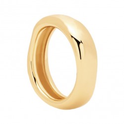 Ring geelkleurig Giselle Aria gold 12 - 609255